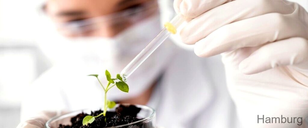 Die 3 führenden Biotechnologieunternehmen in Hamburg