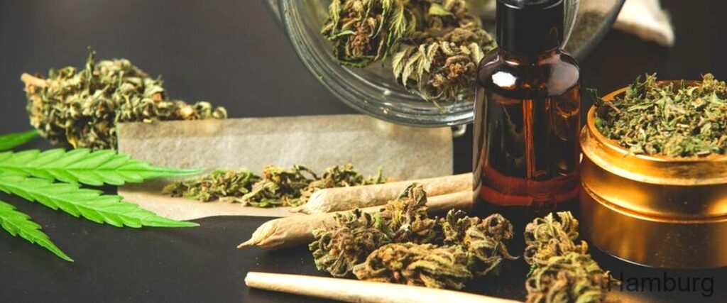 Die 7 besten Cannabisläden in Hamburg