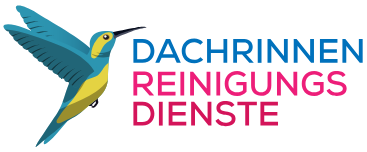 Dachrinnenreinigung Hamburg
