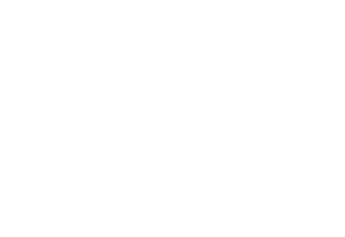 Dj Owl Night