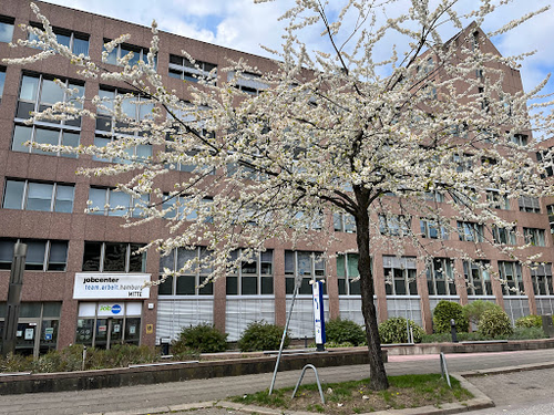 Jobcenter team.arbeit.hamburg