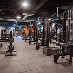 John Reed Fitness Hamburg Wandsbek