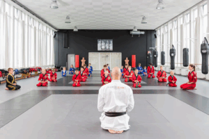 Lemmens Martial Arts Winterhude