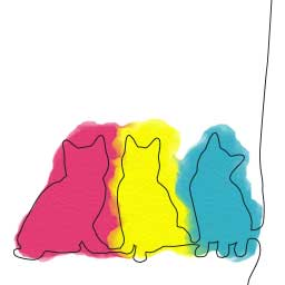 Miez & Maunz Agentur für Katzensitting - Hamburg