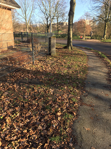 Schöneberndt & Sohn Garten- und Landschaftsbau GmbH