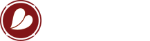 Singliebe