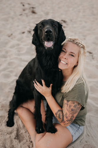 Sunny Dogs