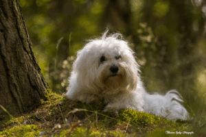 Thorsten Ophey Fotografie