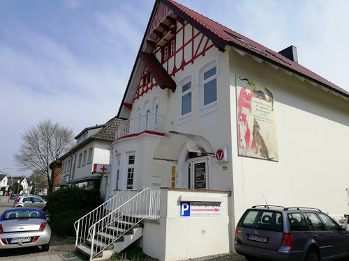 Tierärztliches Institut für angewandte Kleintiermedizin