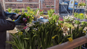 Wilfried Harden Gartenbau