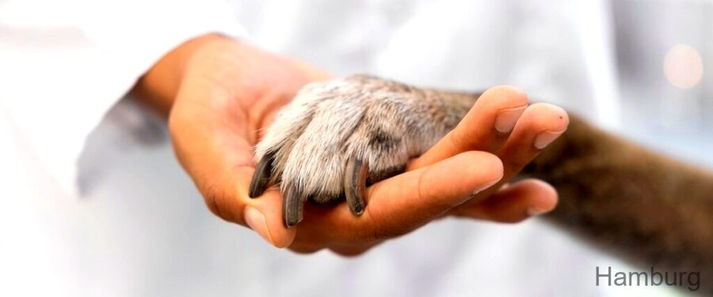 Die 7 besten Tierärzte in Hamburg